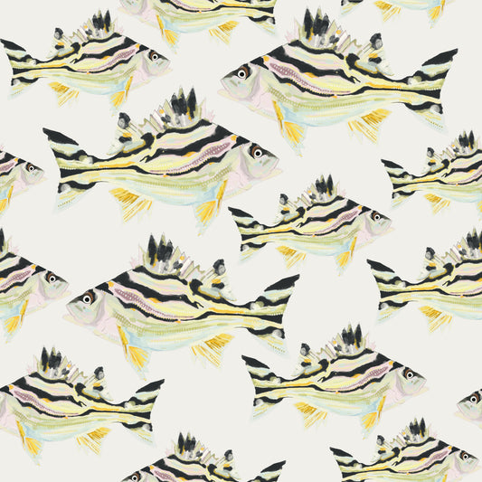 Jarbua - The Fish Wall Mural