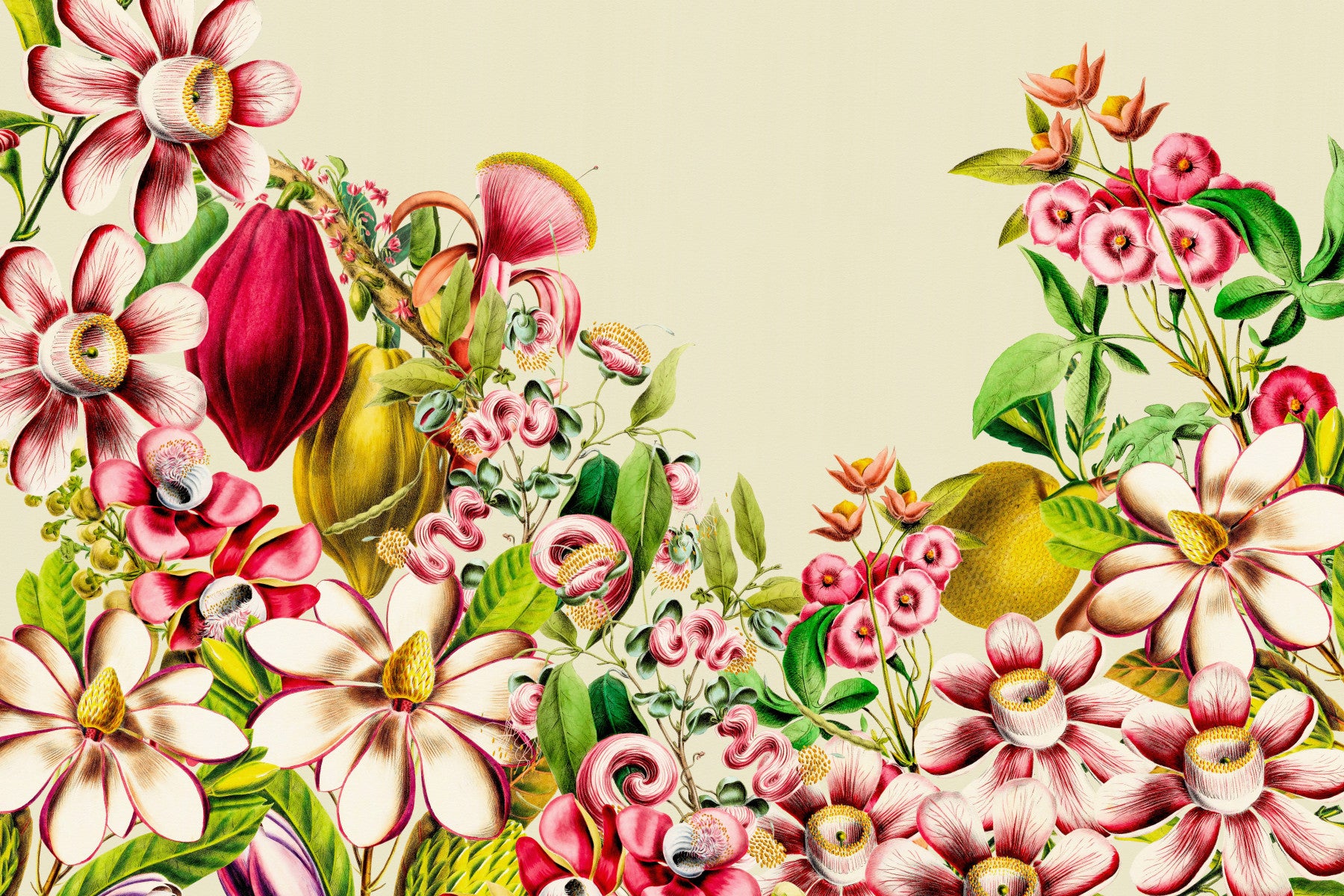 Crimson & Cream Vintage Garden Wall Mural