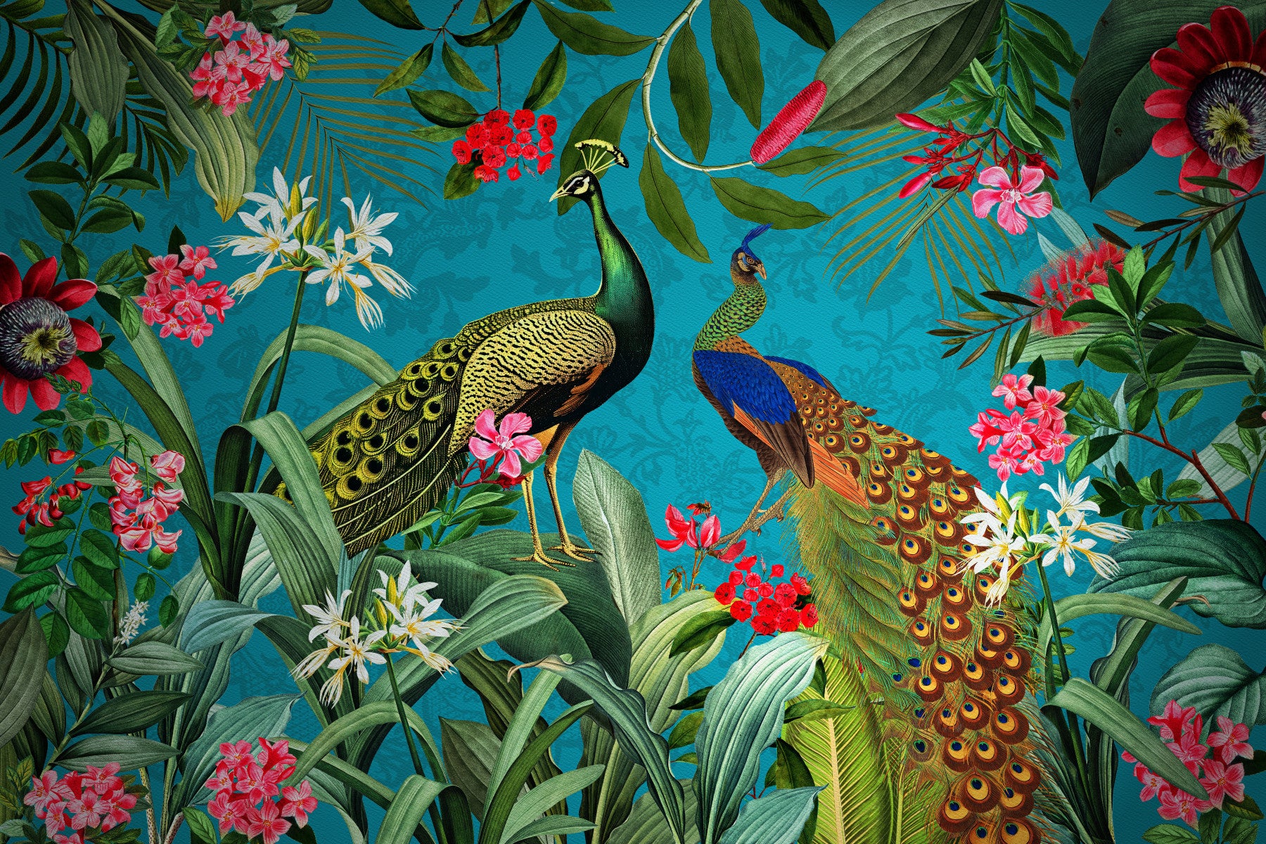 Vintage Peacock Paradise 1 Wall Mural