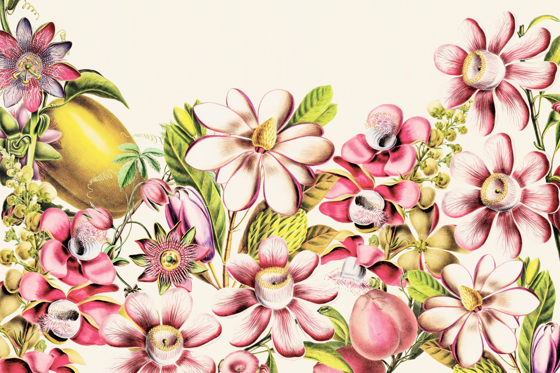 Vintage Garden Delight Wall Mural