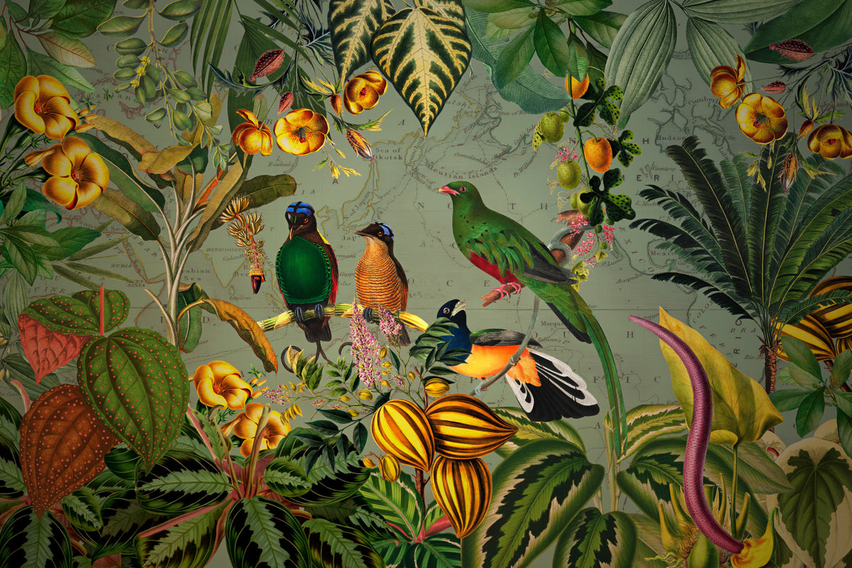Tropical Explorers' Chart Wall Mural