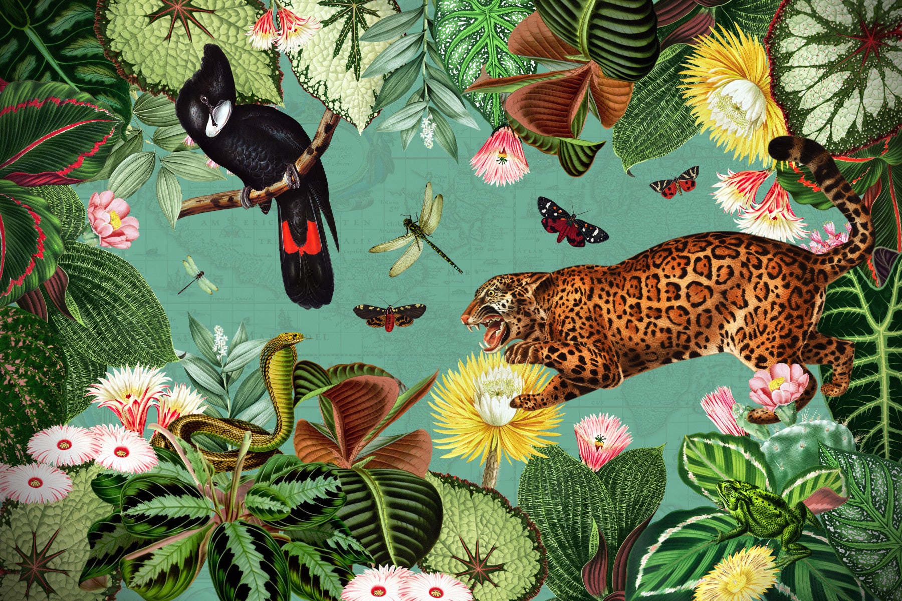 Exotic Expedition Wall Mural