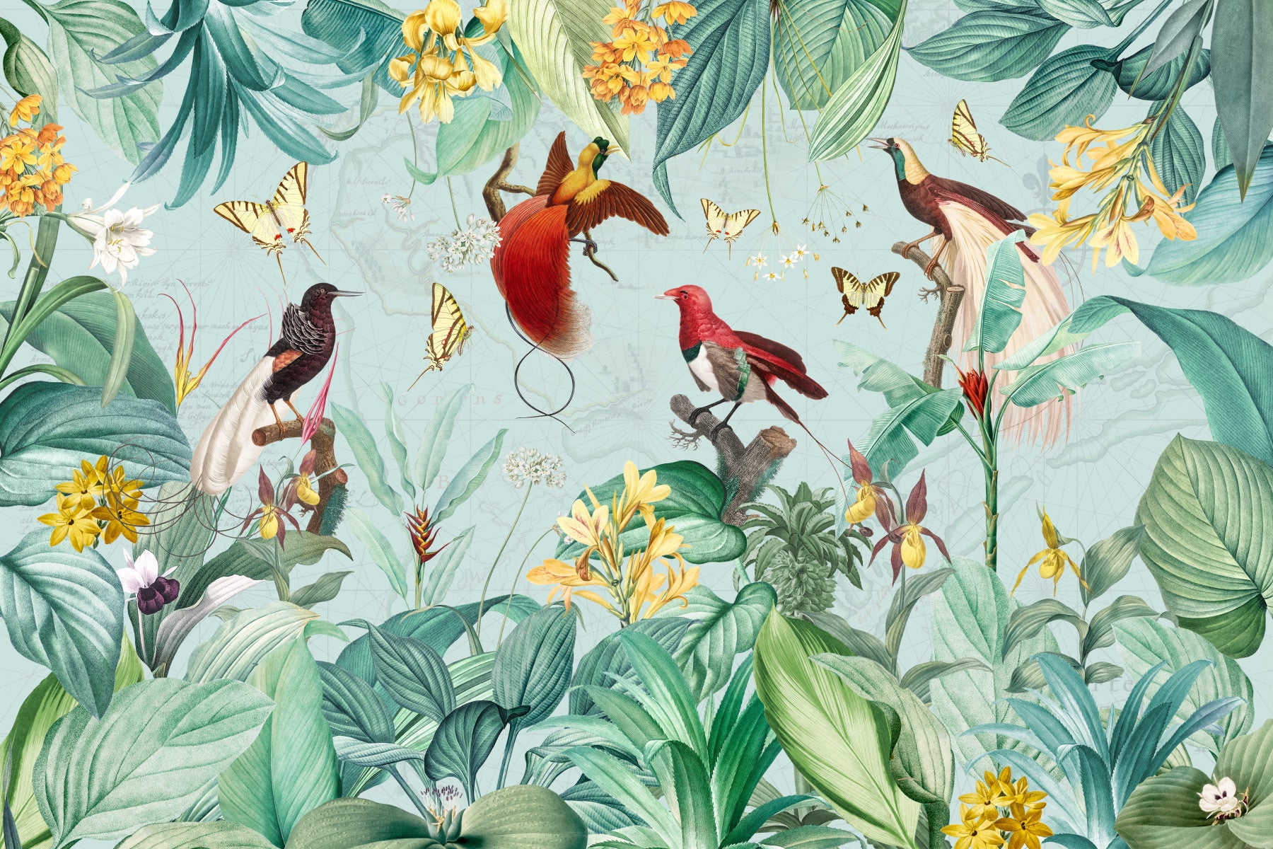 Birds of Paradise Wall Mural