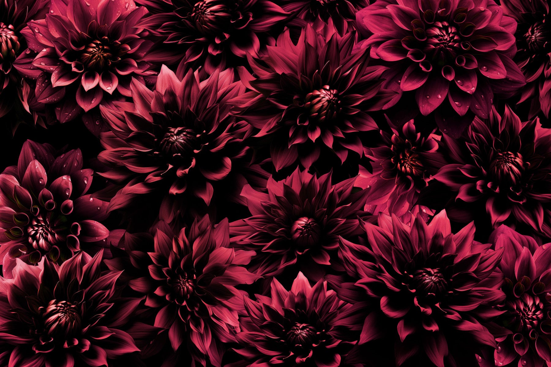Midnight Burgundy Dahlia Wall Mural