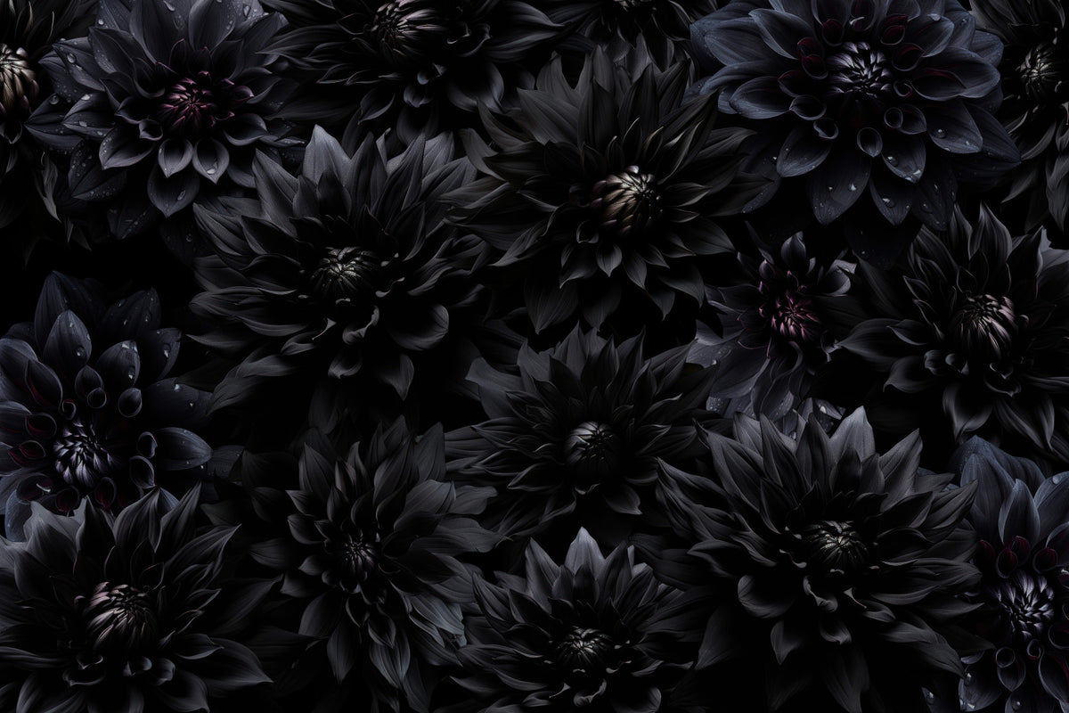 Midnight Bloom 1 Wall Mural in your room — zoomed
