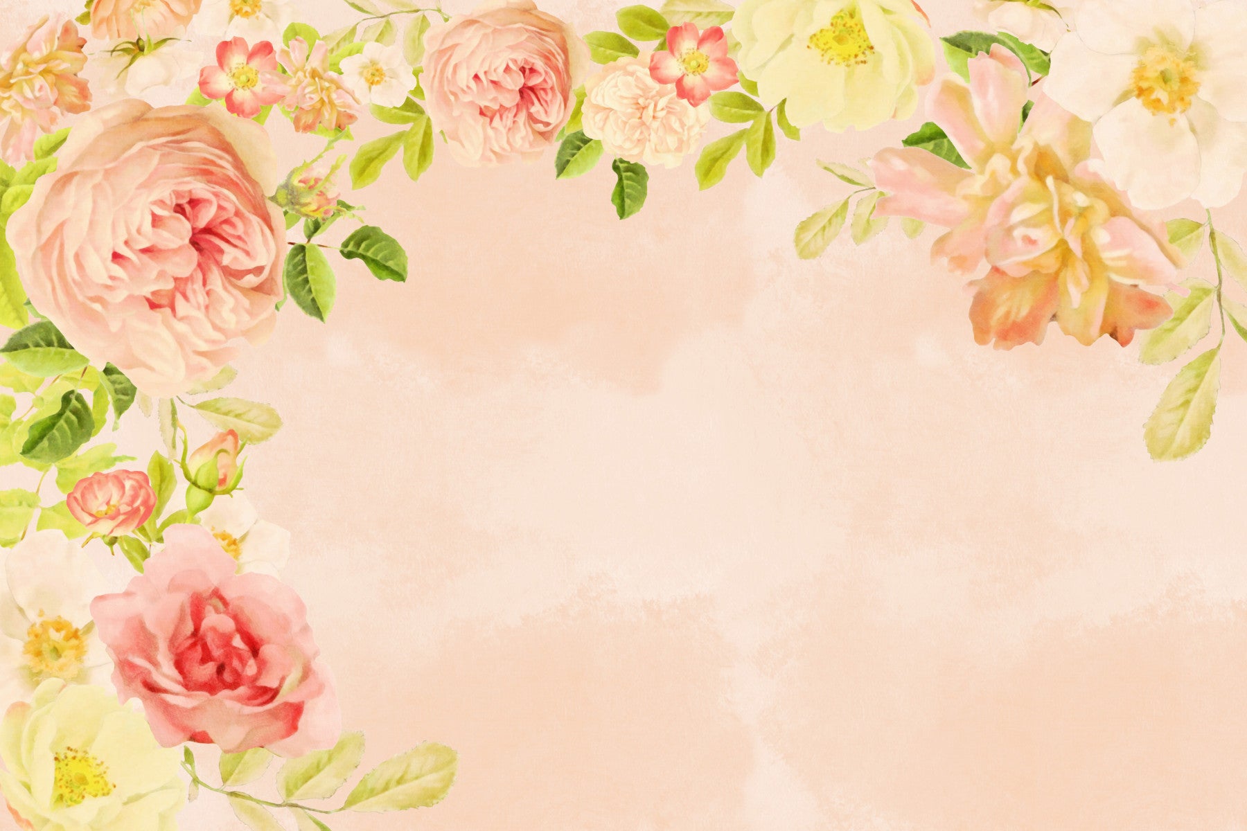 Peachy Keen Roses Wall Mural