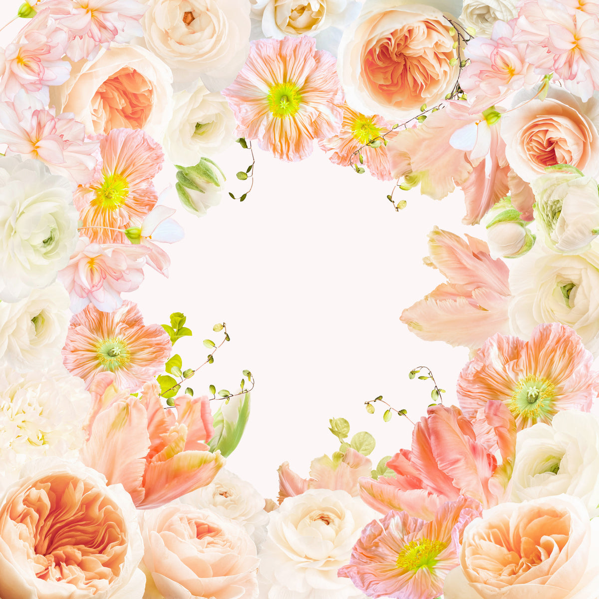 Pastel Paradise Wall Mural in your room — zoomed