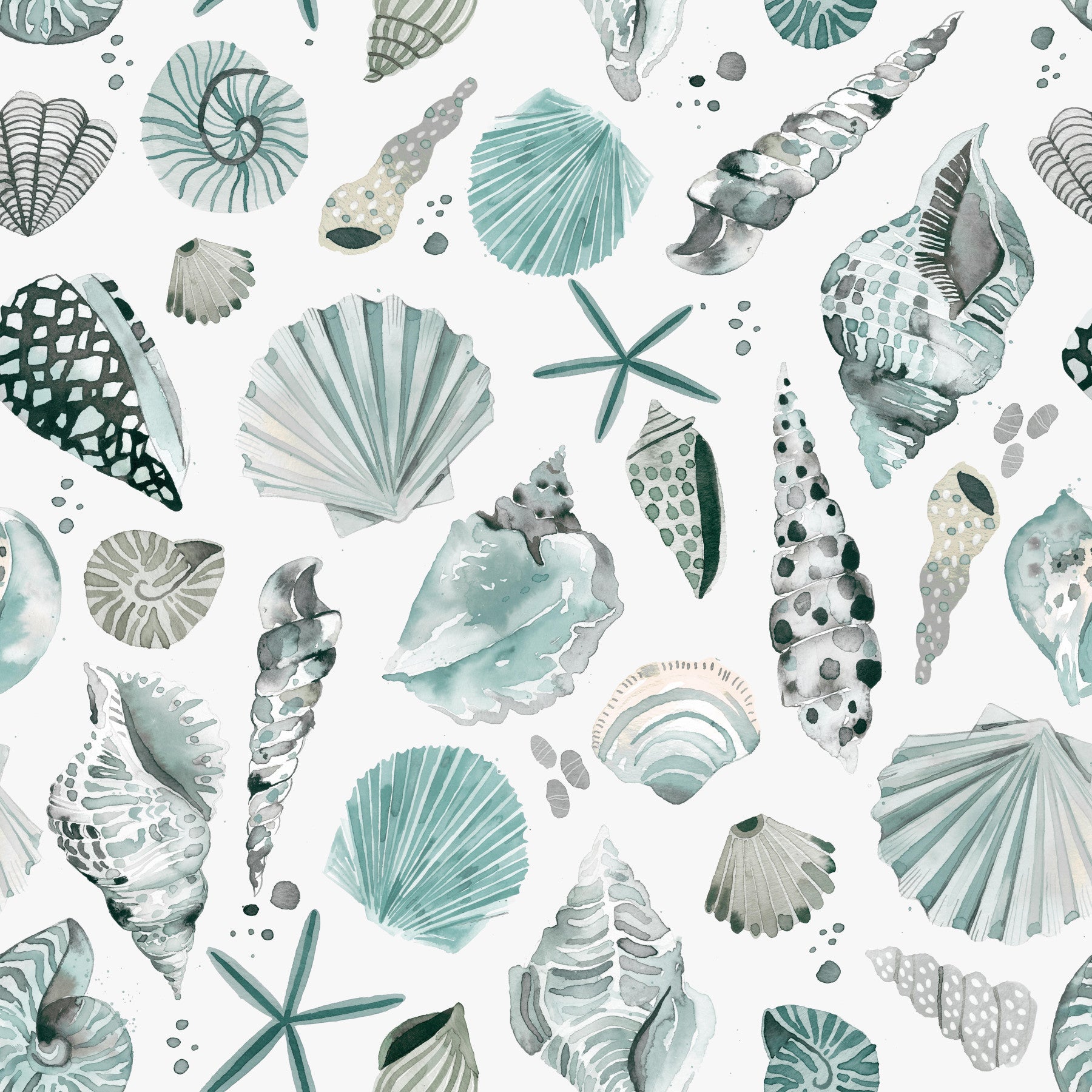 Sea Shells Marine Coastal Summer Blue Wallpaper⁠