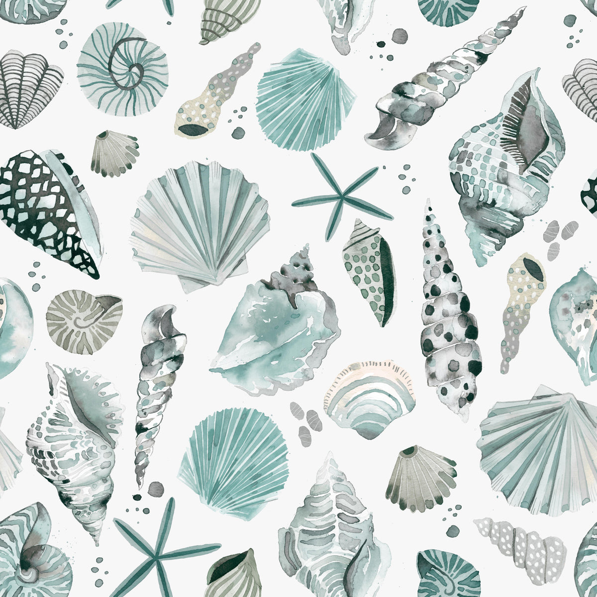 Sea Shells Marine Coastal Summer Blue Wallpaper⁠ in your room — zoomed