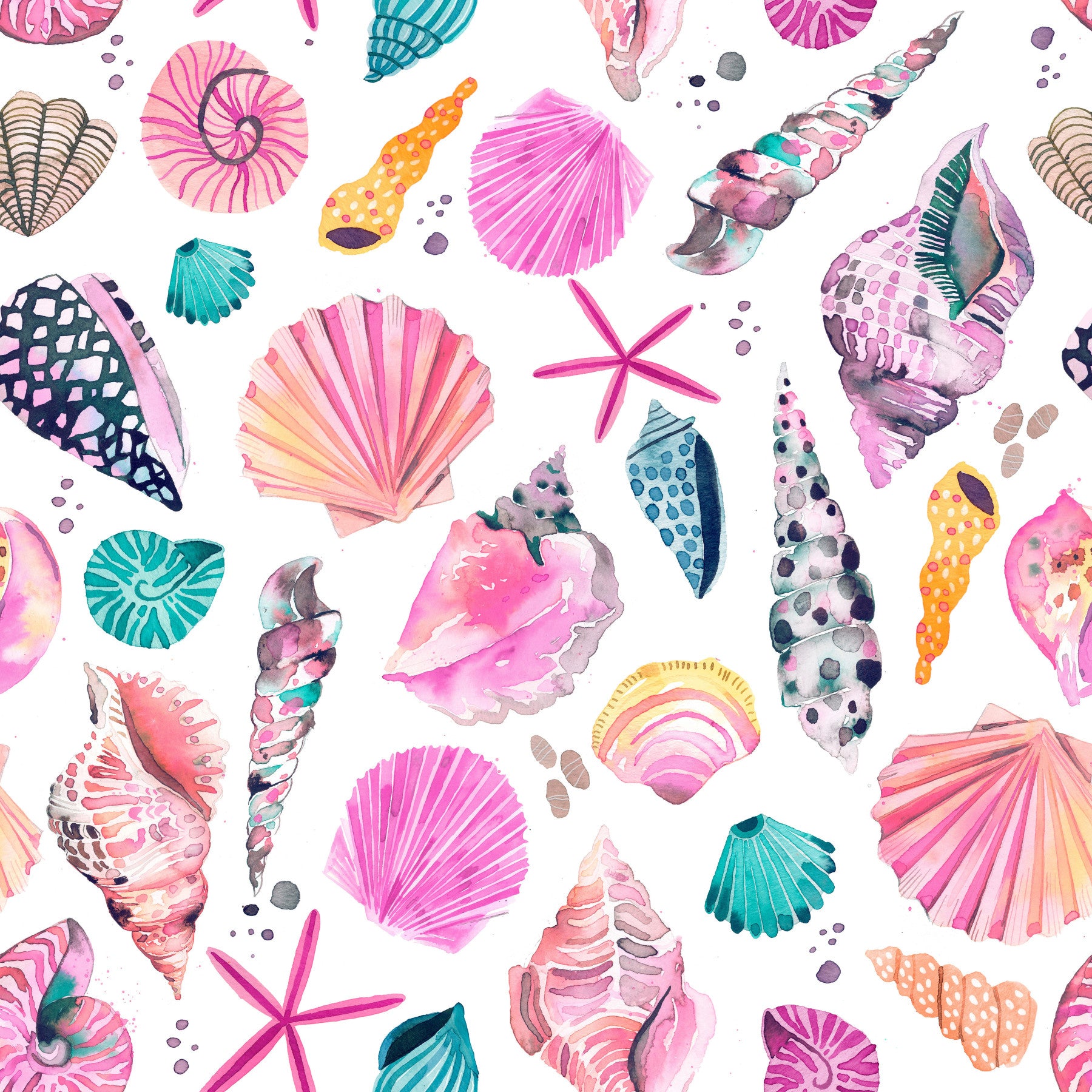 Sea Shells Marine Coastal Summer Pink Wallpaper⁠