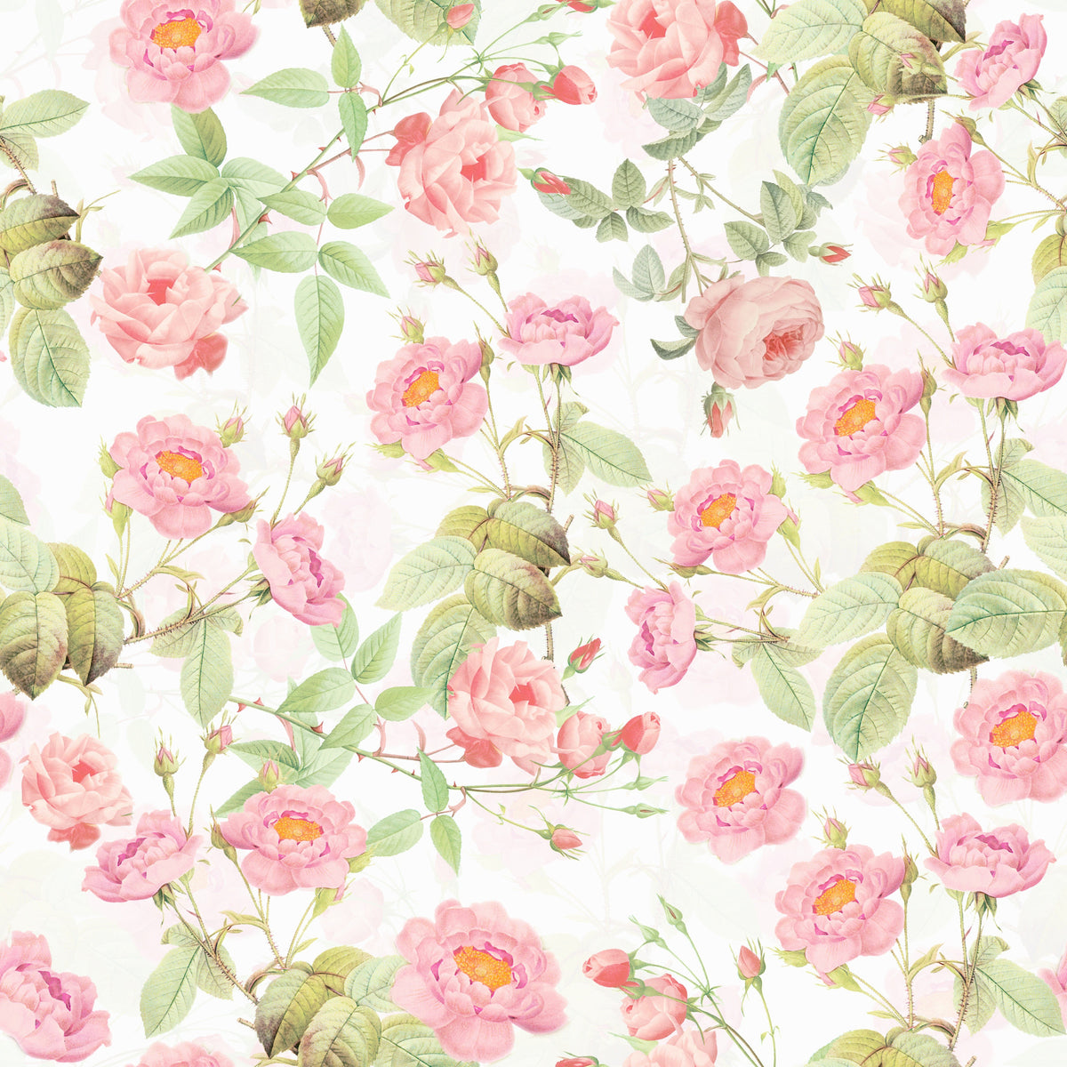 Blushing Roses Wallpaper Wallpaper⁠