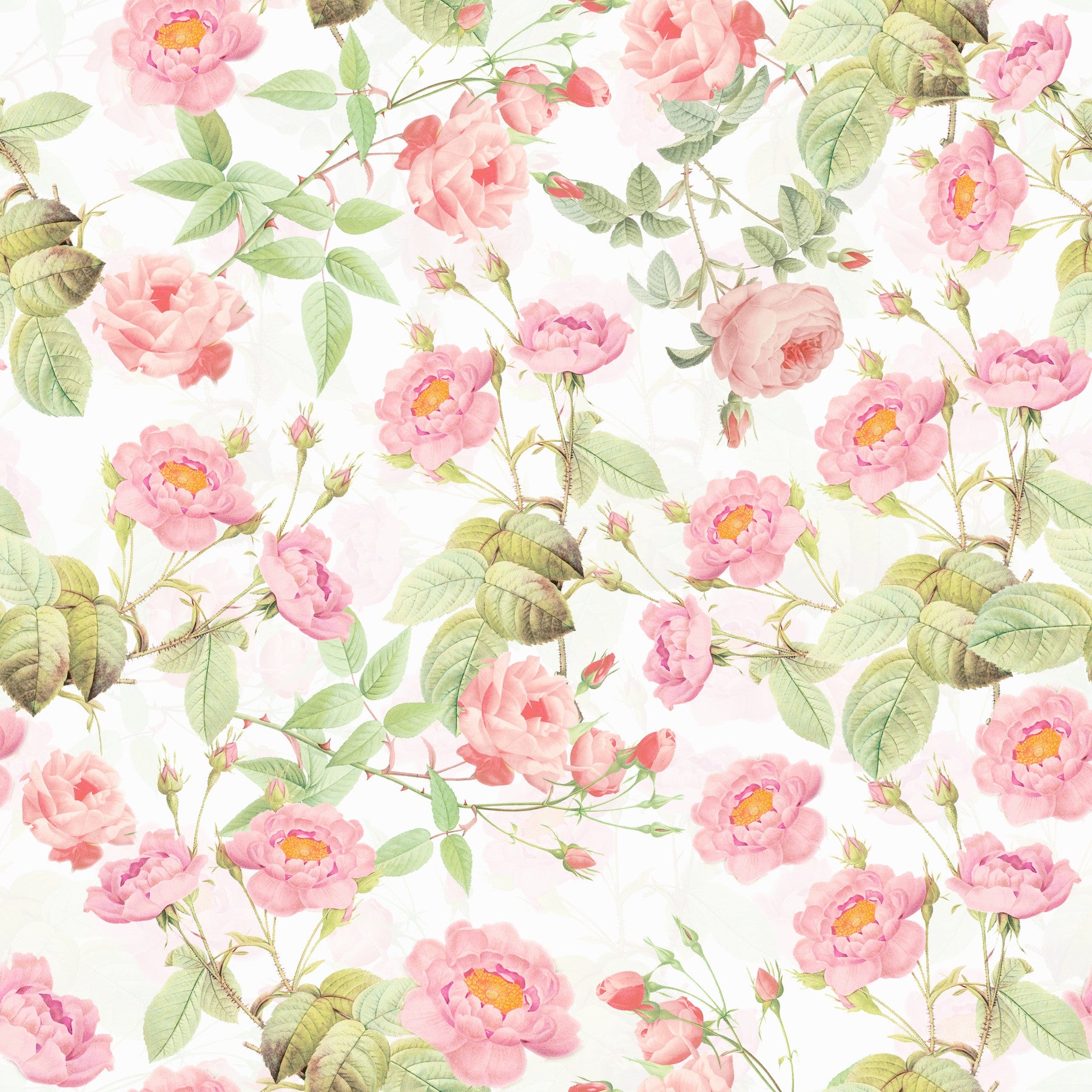 Blushing Roses Wallpaper Wallpaper⁠