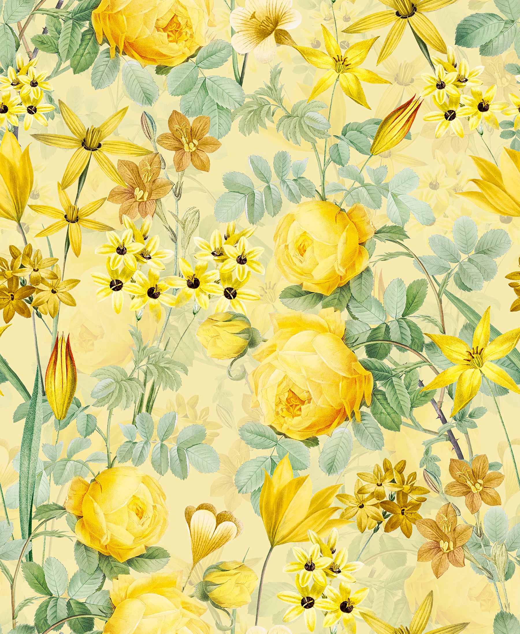 Golden Hour Rose Blooms Wallpaper⁠