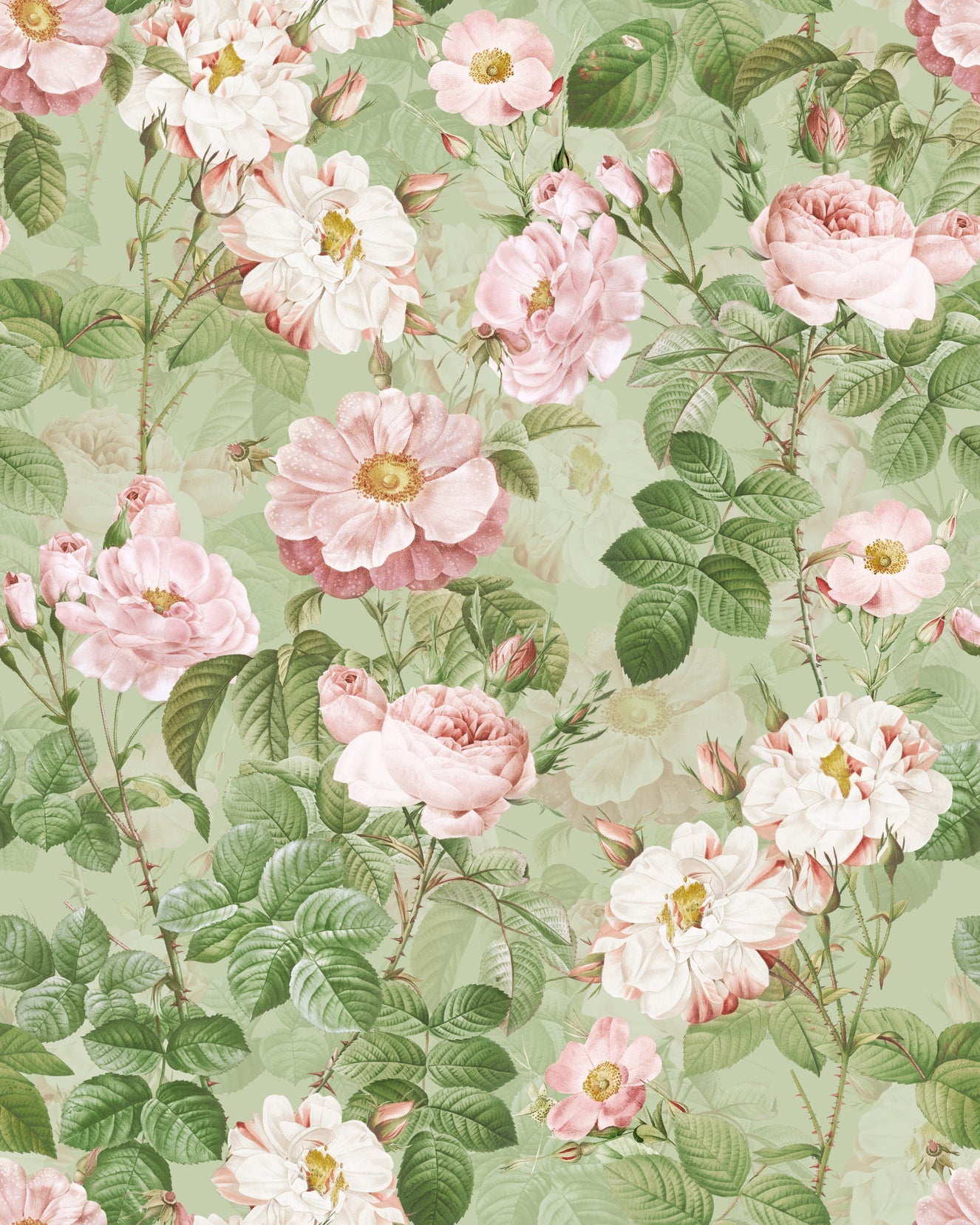Vintage Rose Romance Wallpaper⁠