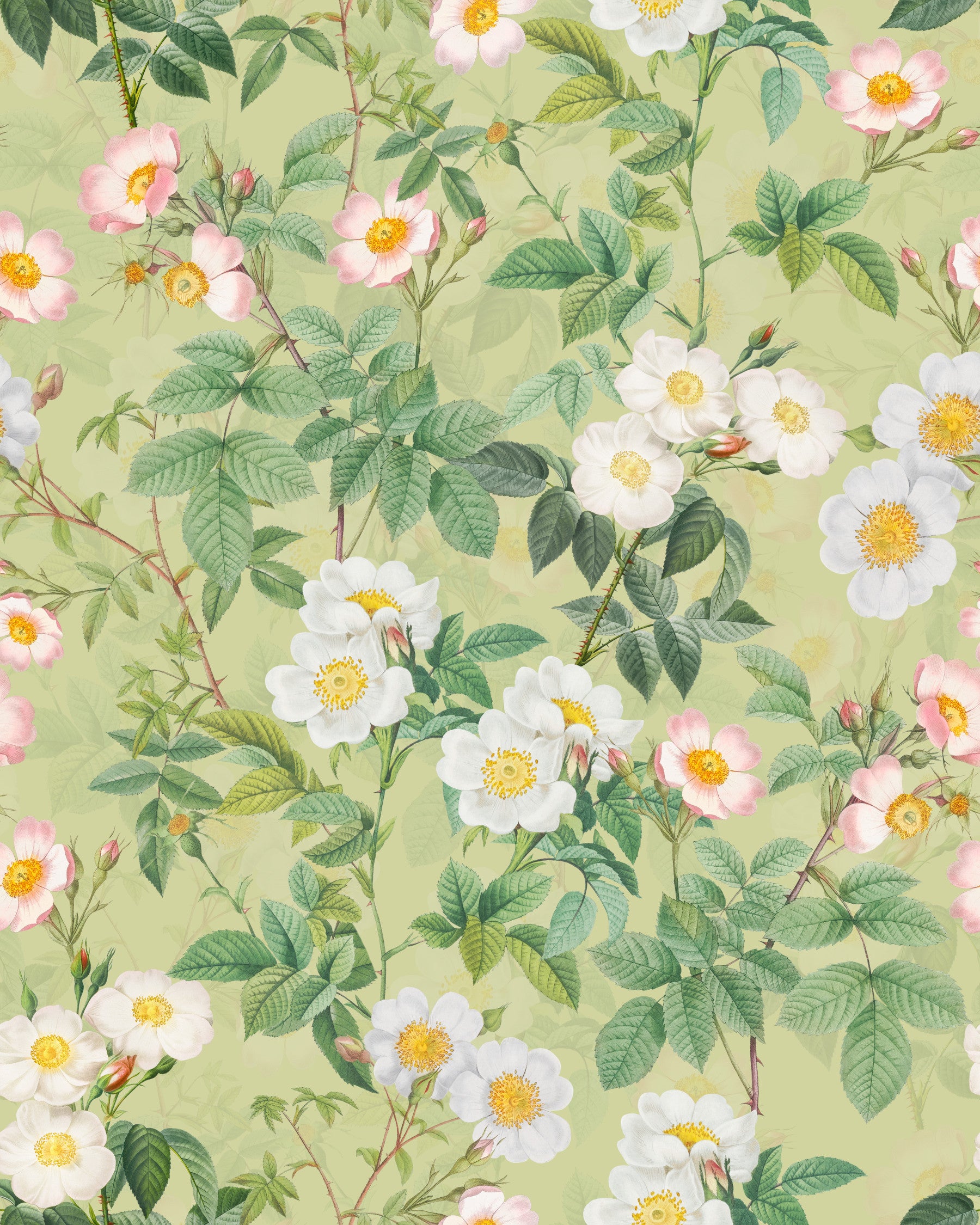 Vintage Rose Garden 3 Wallpaper⁠