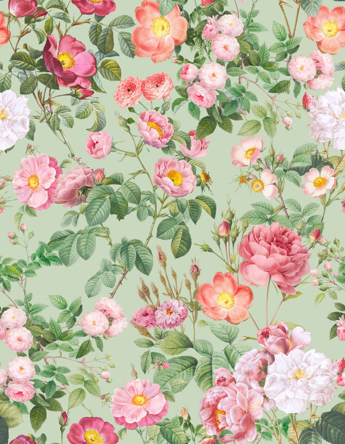 Pastel Paradise Roses Wallpaper⁠ in your room — zoomed