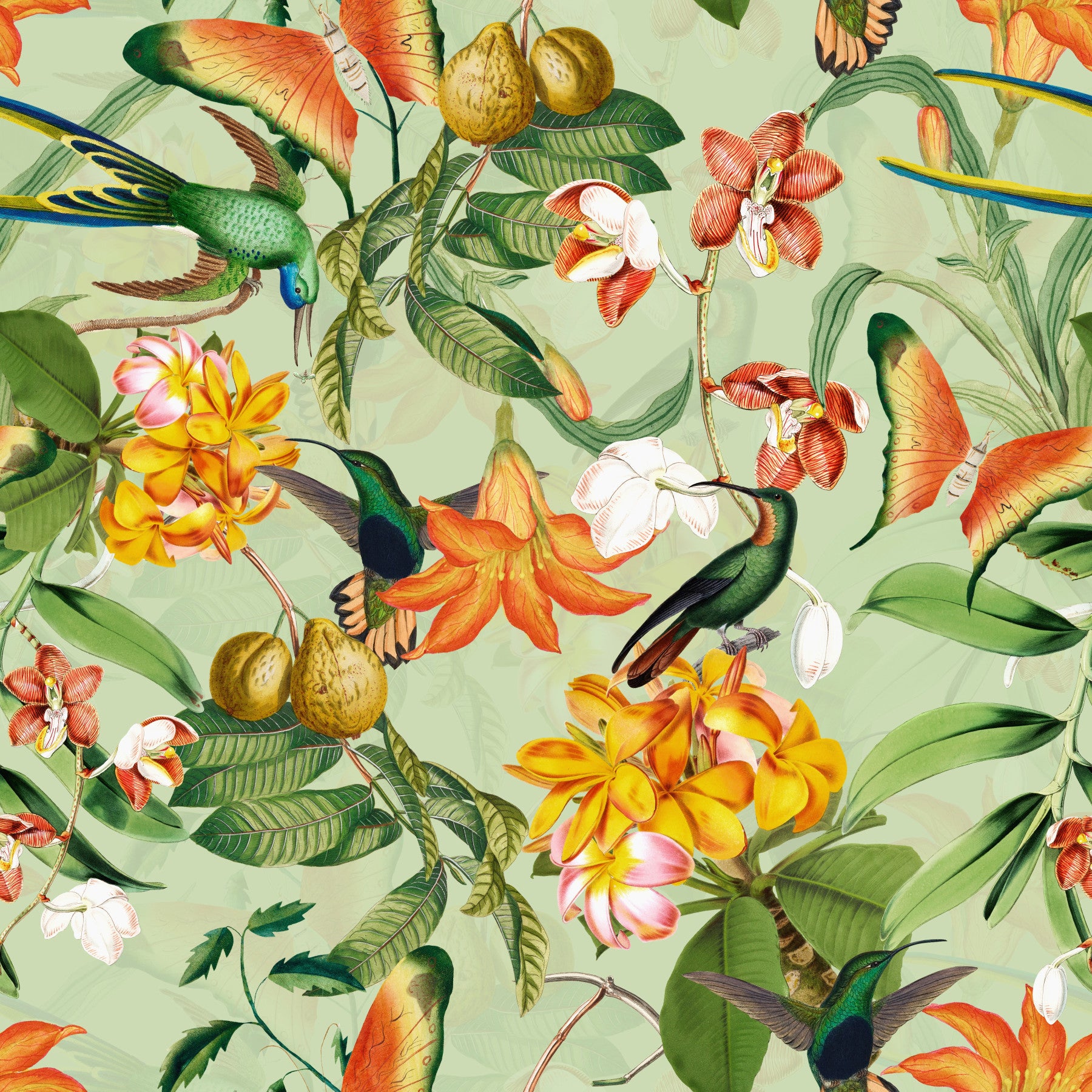 Botanical Bird Rhapsody Wallpaper⁠