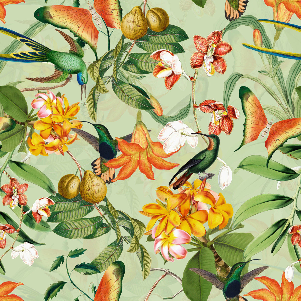Botanical Bird Rhapsody Wallpaper⁠ in your room — zoomed