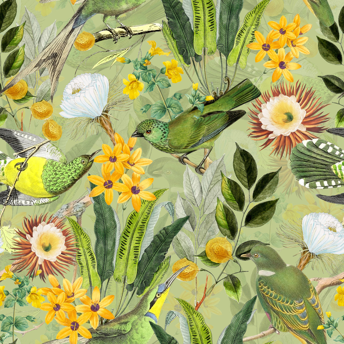 Serene Tropical Aviary Wallpaper⁠ in your room — zoomed