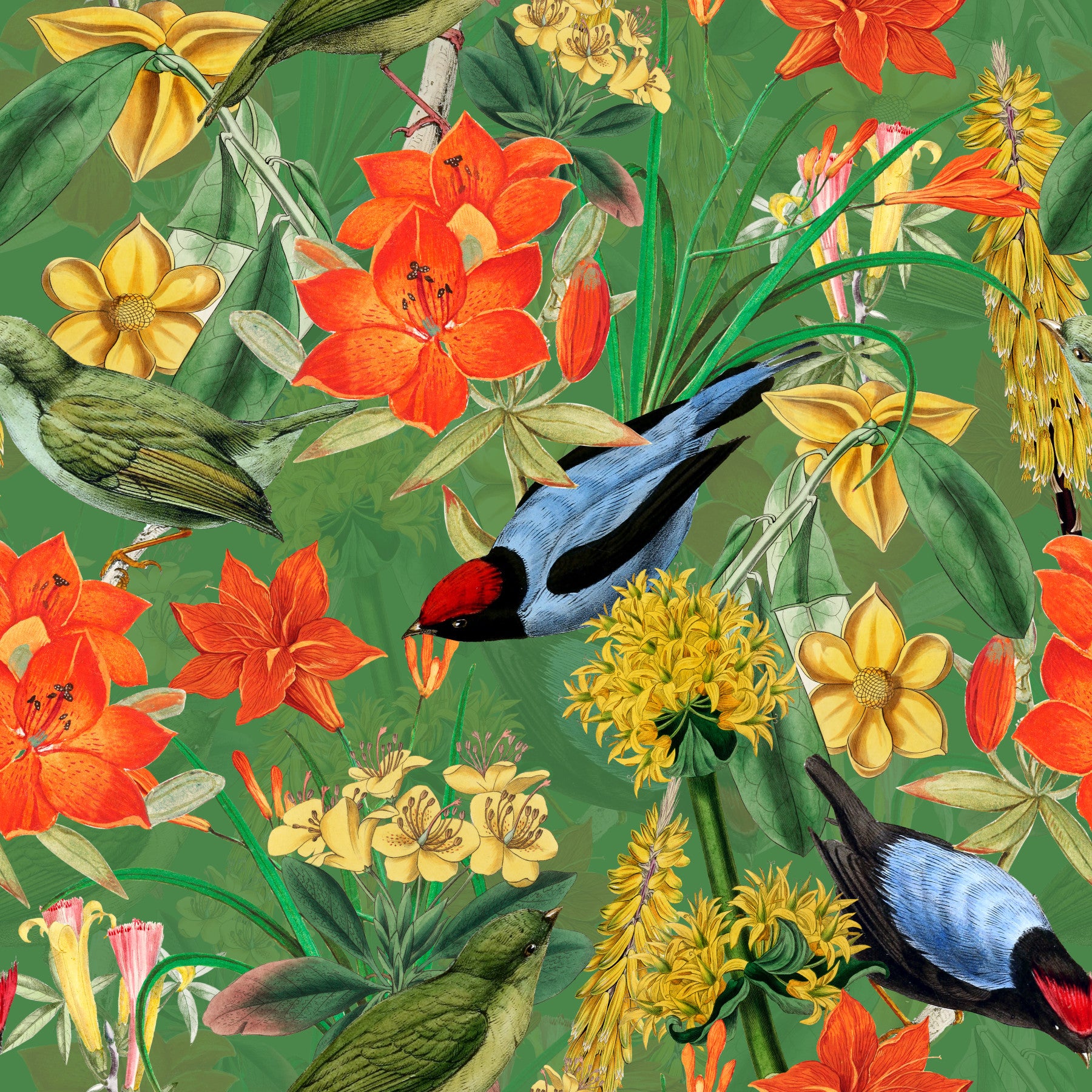 Botanical Birdsong Wallpaper⁠