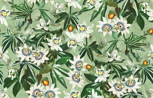 Passionflower Paradise Wallpaper⁠