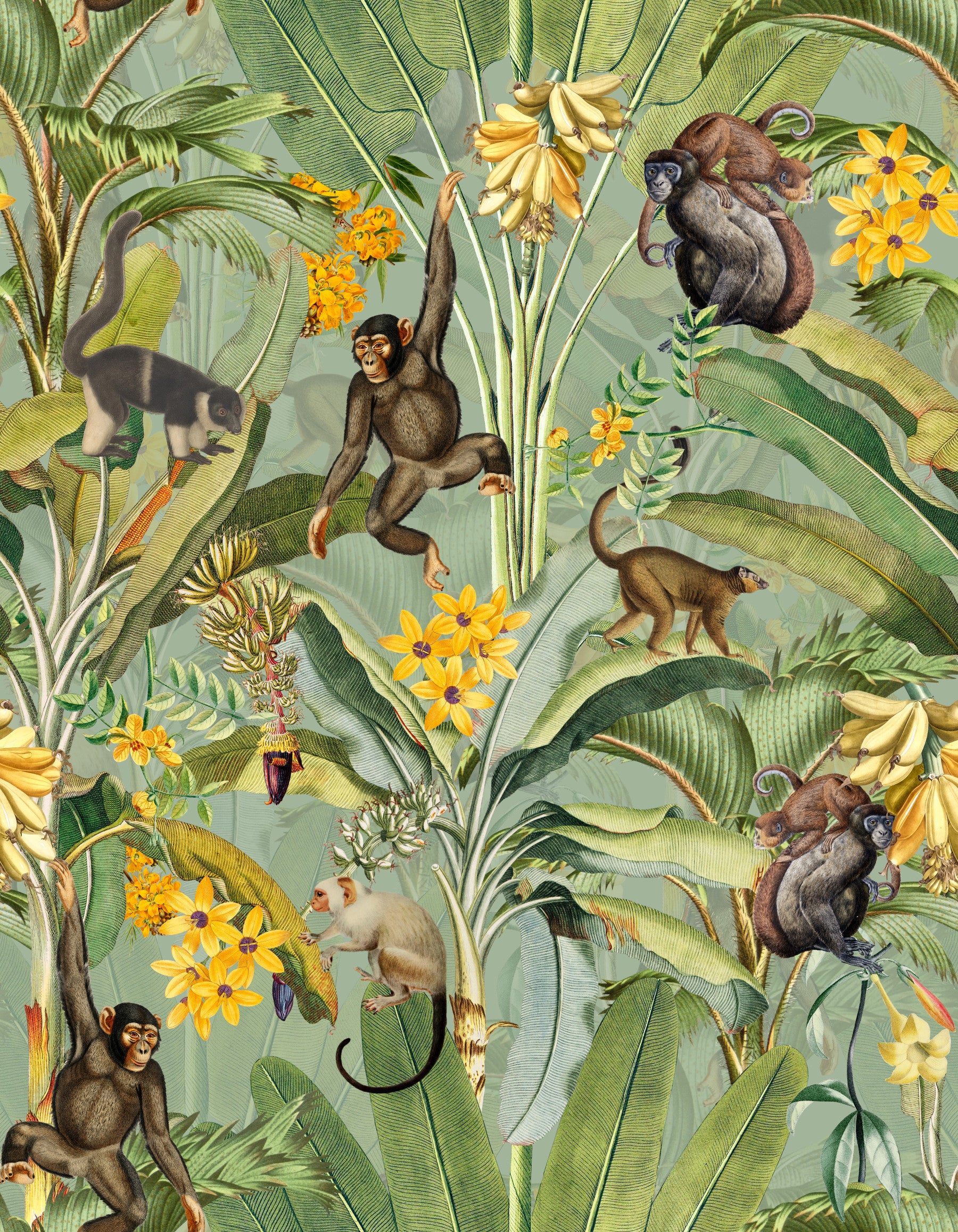 Tropical Monkey Business Wallpaper⁠