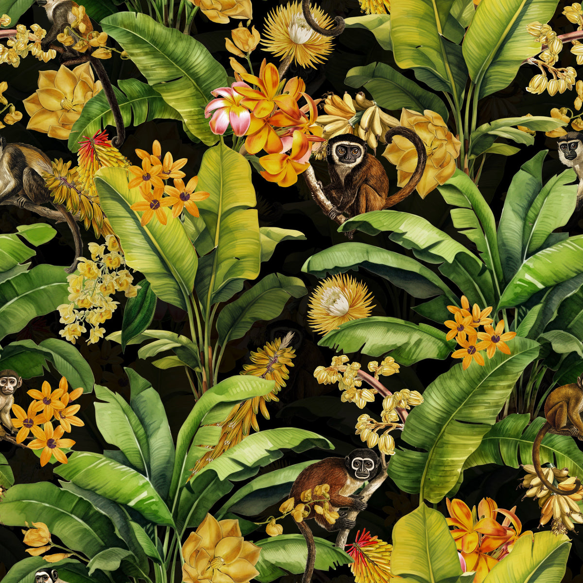 Tropical Monkey Rhapsody Wallpaper⁠ in your room — zoomed