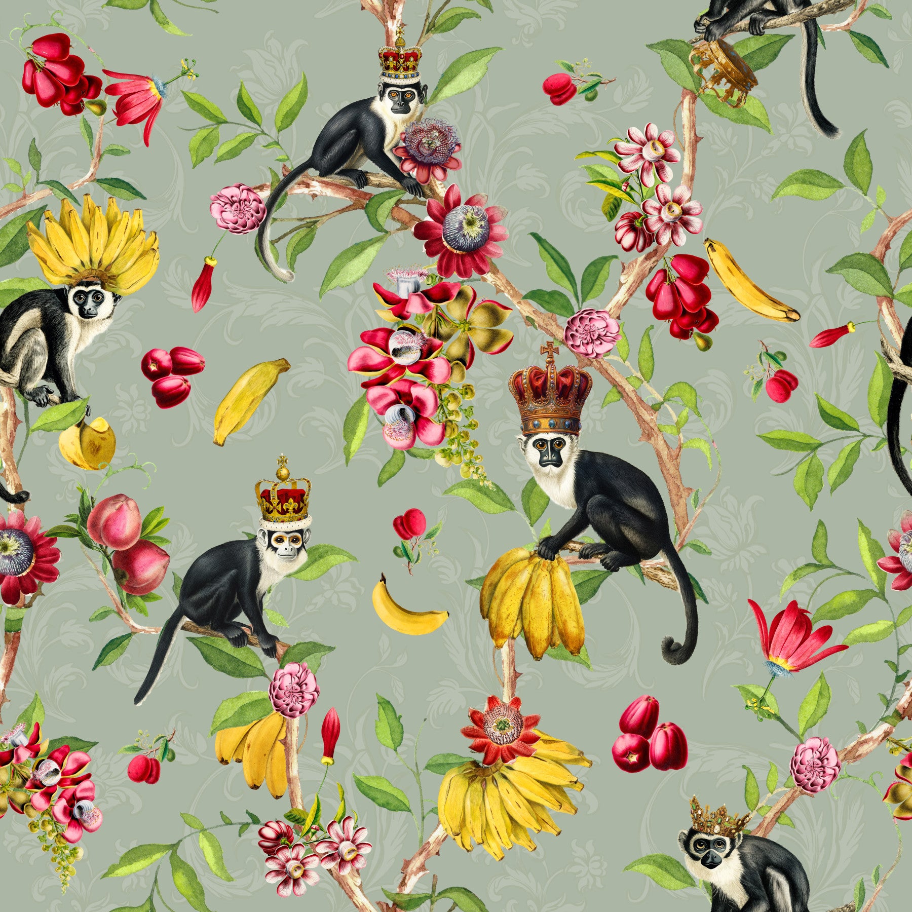 Exotic Monarchs Wallpaper⁠