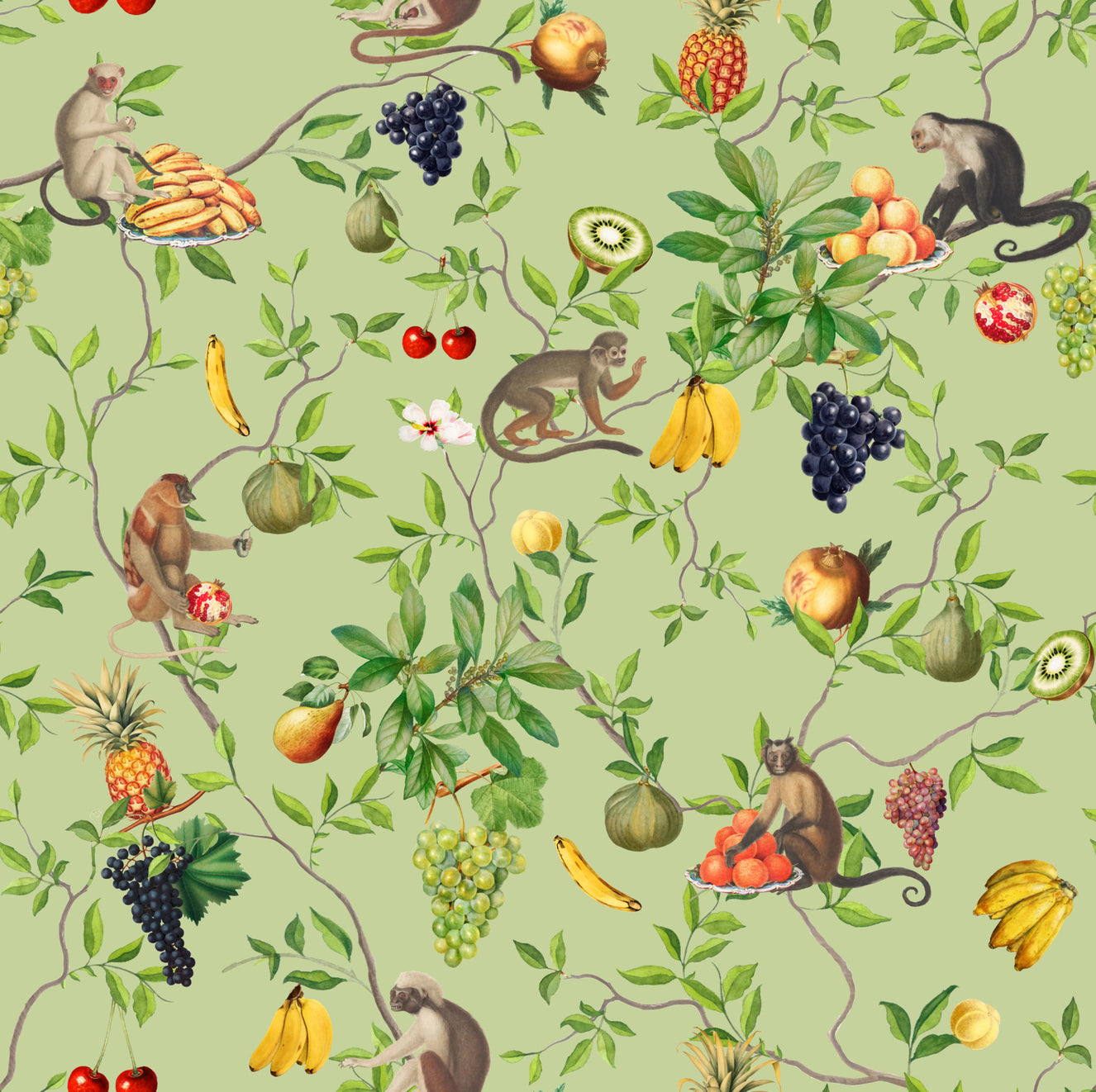 Monkeys & Tropical Fruits Delight Wallpaper⁠