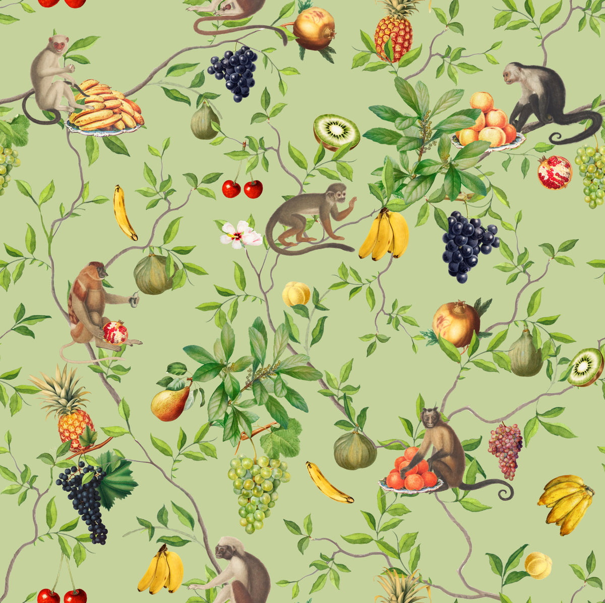 Monkeys & Tropical Fruits Delight Wallpaper⁠ in your room — zoomed