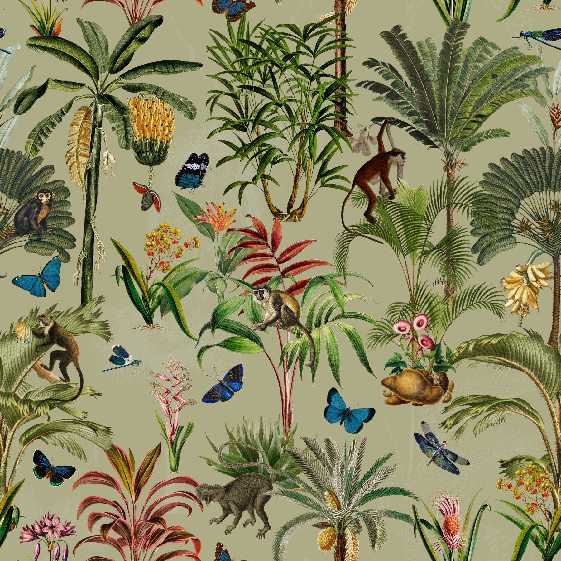 Whispers of the Jungle 3 Wallpaper⁠ in your room — zoomed