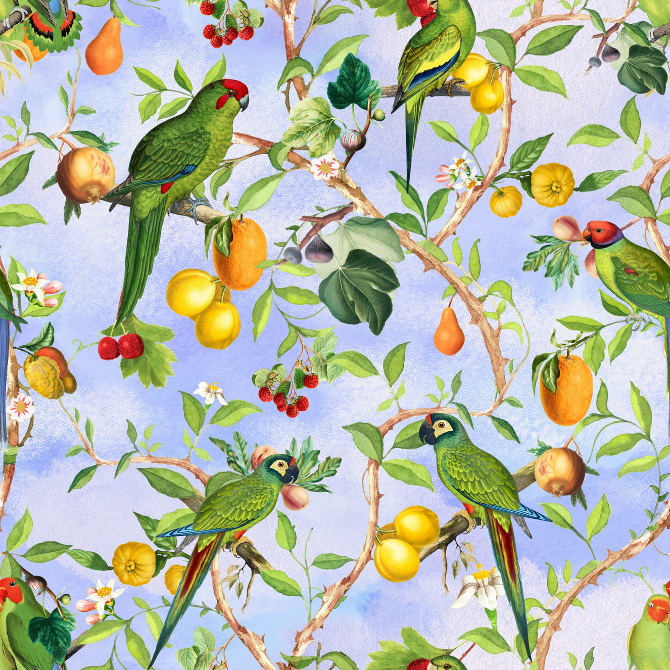 Tropical Paradise Birds 1 Wallpaper⁠