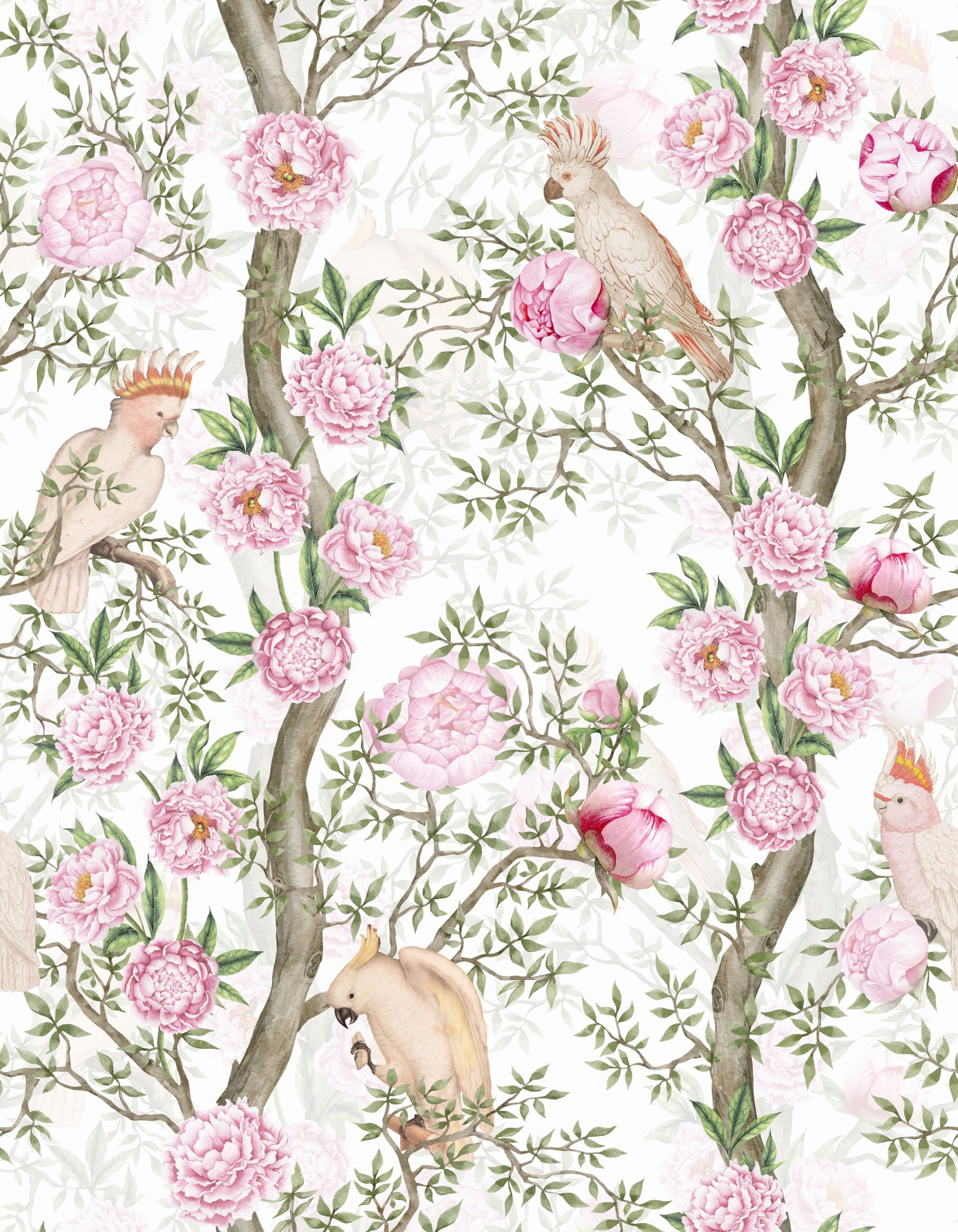 Blush Blossom & Bird Paradise Wallpaper⁠
