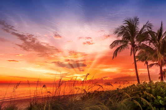 BONITA BEACH Picturesque Sunset Wall Mural