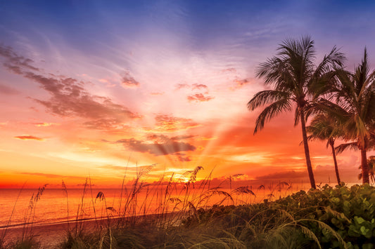 BONITA BEACH Picturesque Sunset Wall Mural
