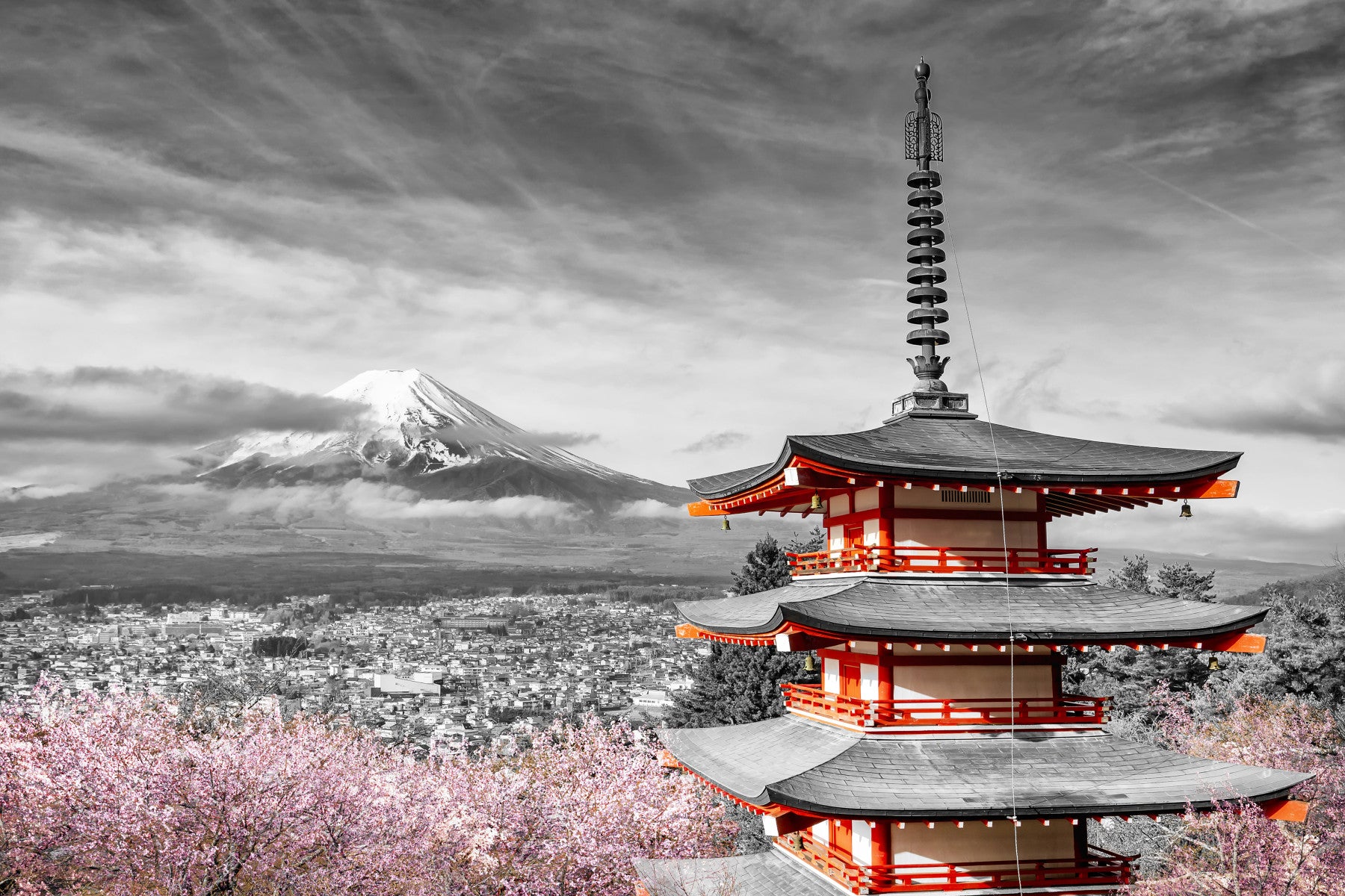 Magnificent view of Mount Fuji with Chureito Pagoda during cherry blossom season | colorkey Wall Mural