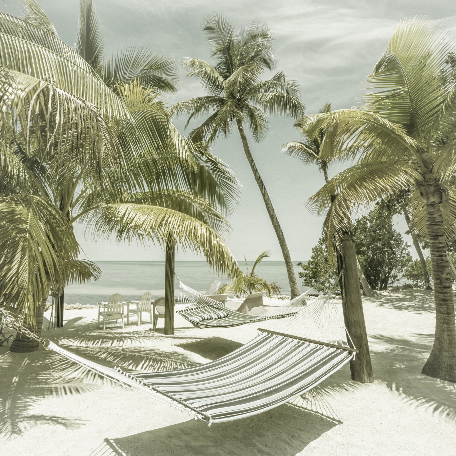FLORIDA Heavenly Place | Vintage Wall Mural