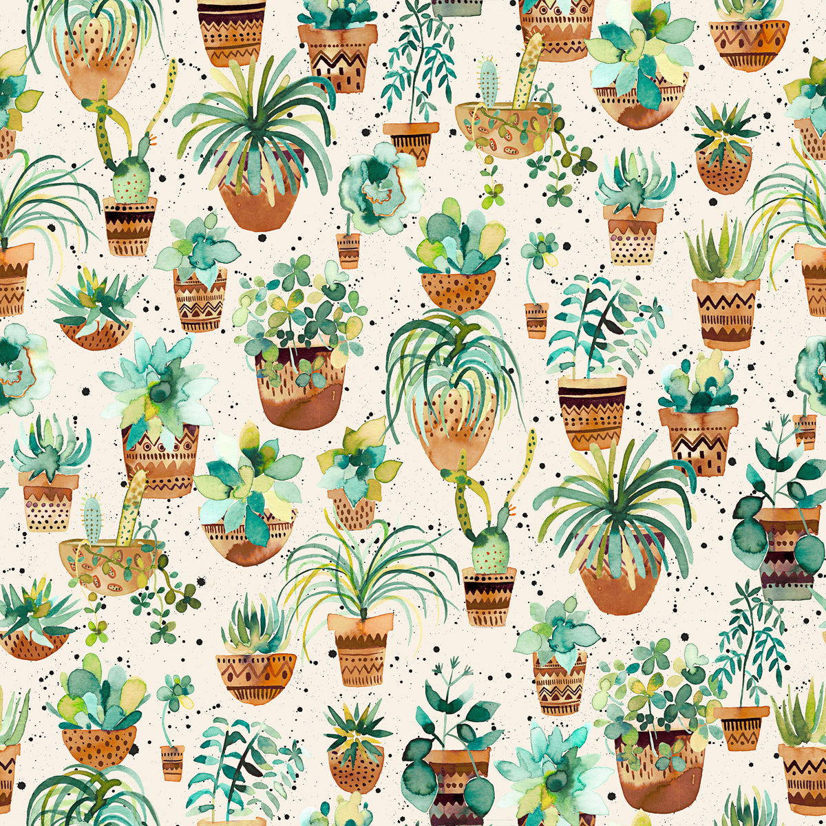 Succulent Home Pots Plants Wallpaper⁠ in your room — zoomed