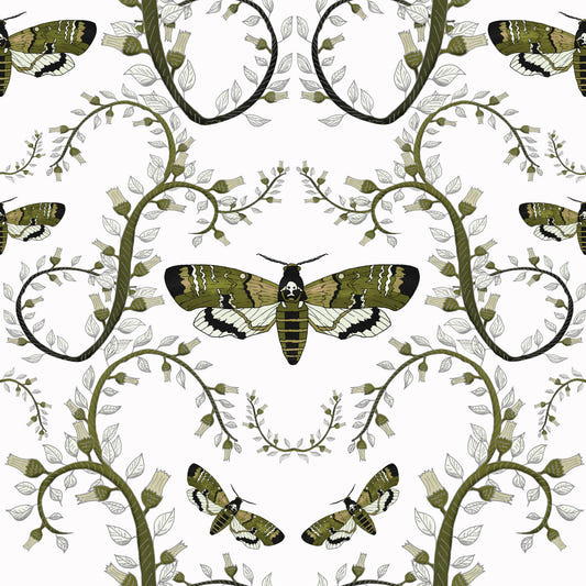 Death's-Head Hawkmoth Garden Wallpaper⁠