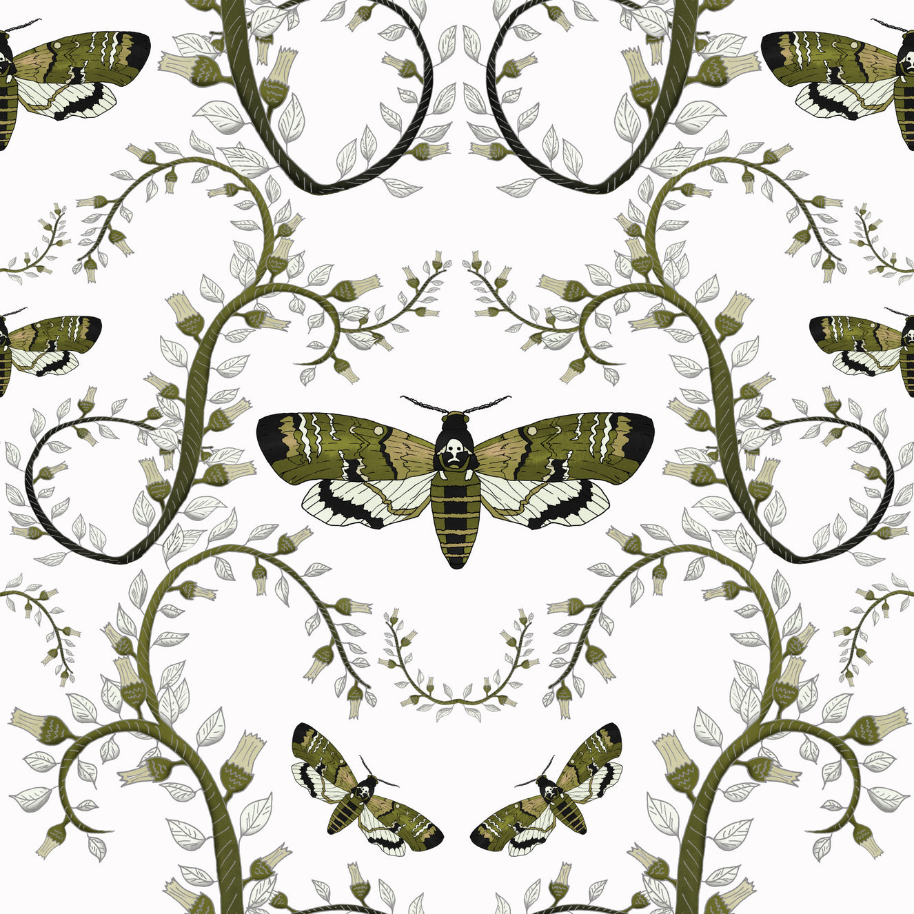 Death's-Head Hawkmoth Garden Wallpaper⁠