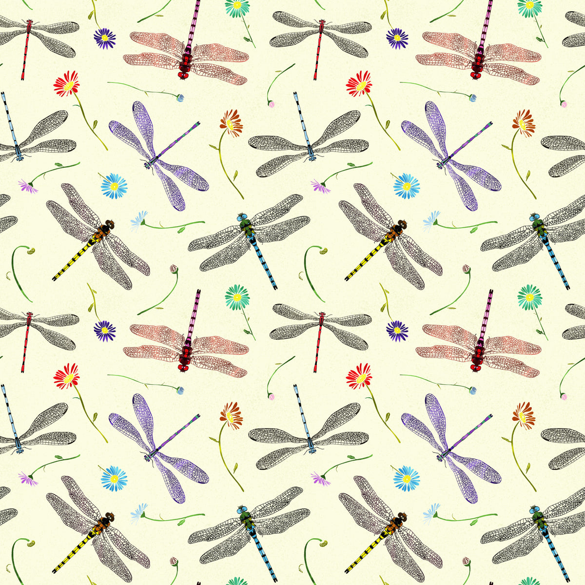 Colorful Dragonfly and Damselfly Wallpaper⁠