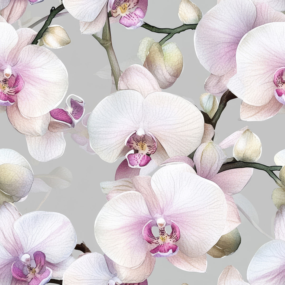 Elegance of the orchid Wallpaper⁠ in your room — zoomed