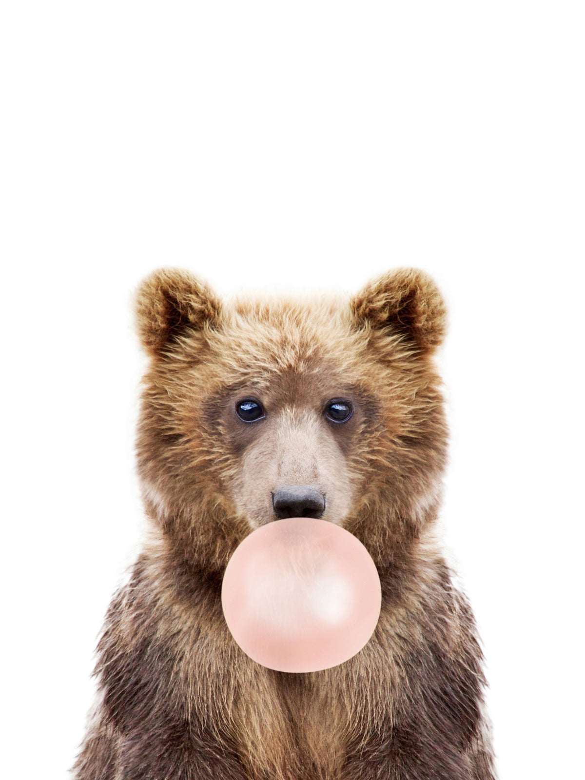 Bubble Gum Bear Wall Mural in your room — zoomed