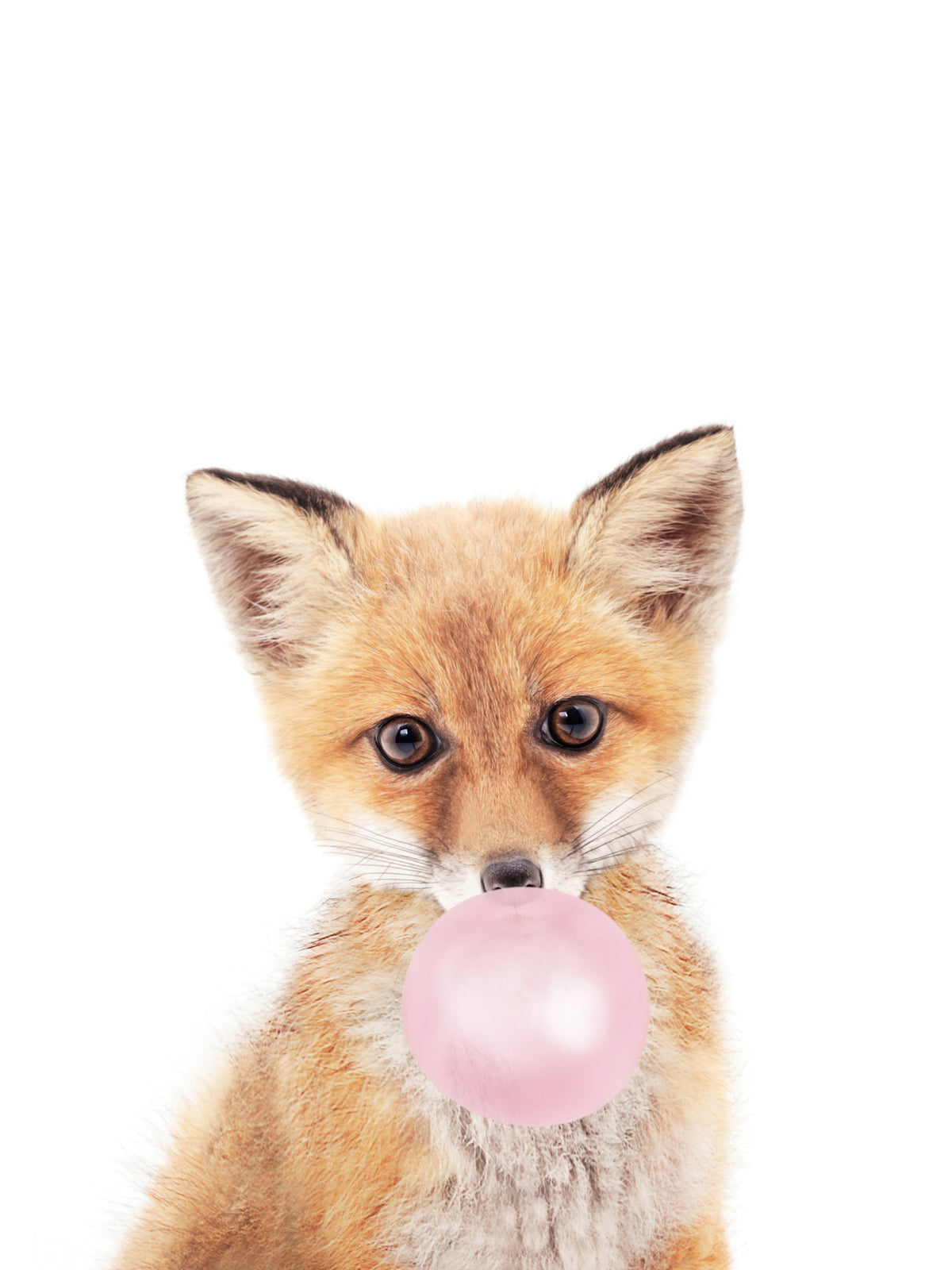 Bubble Gum Fox Wall Mural
