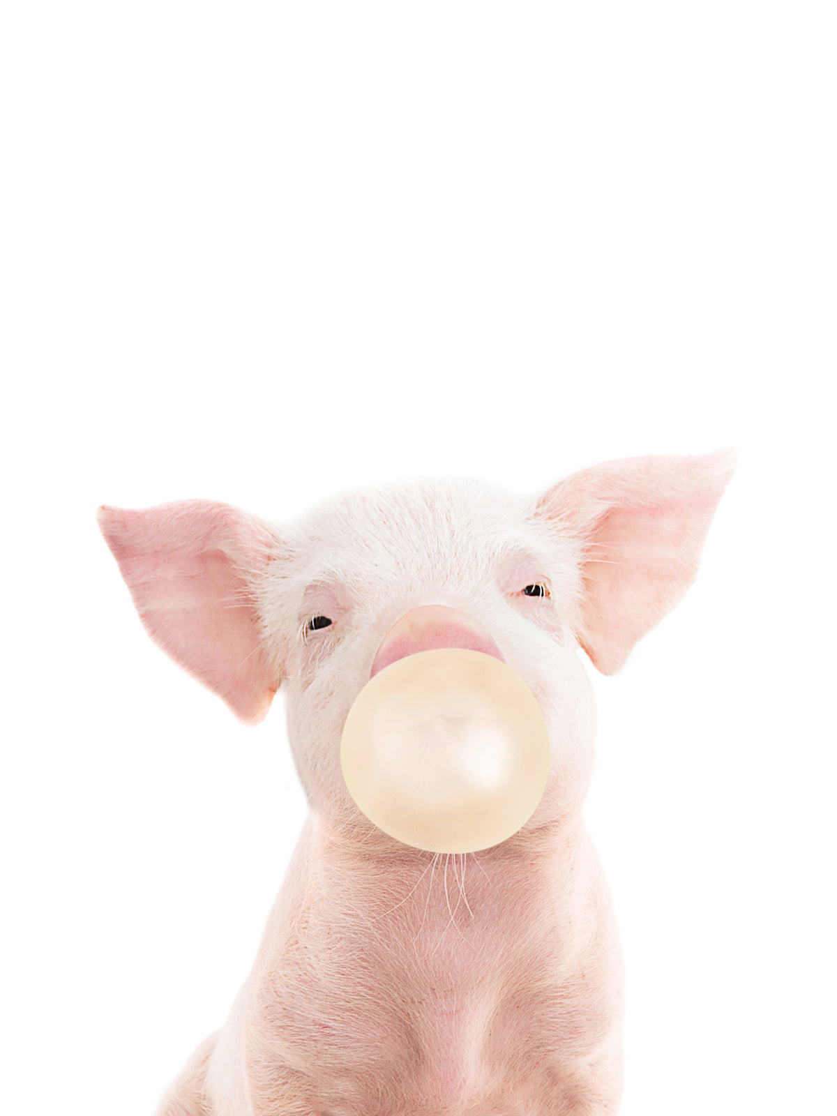 Bubble Gum Piglet Wall Mural in your room — zoomed