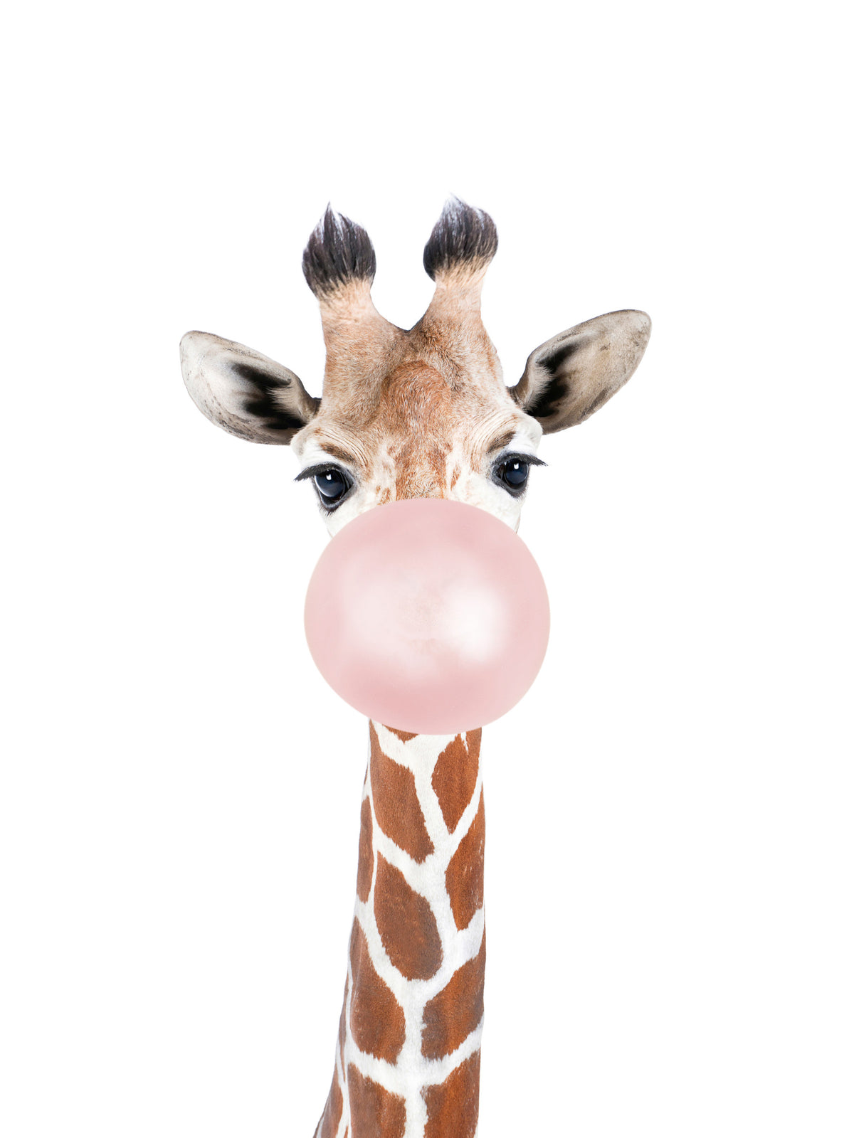 Bubble Gum Giraffe Wall Mural in your room — zoomed