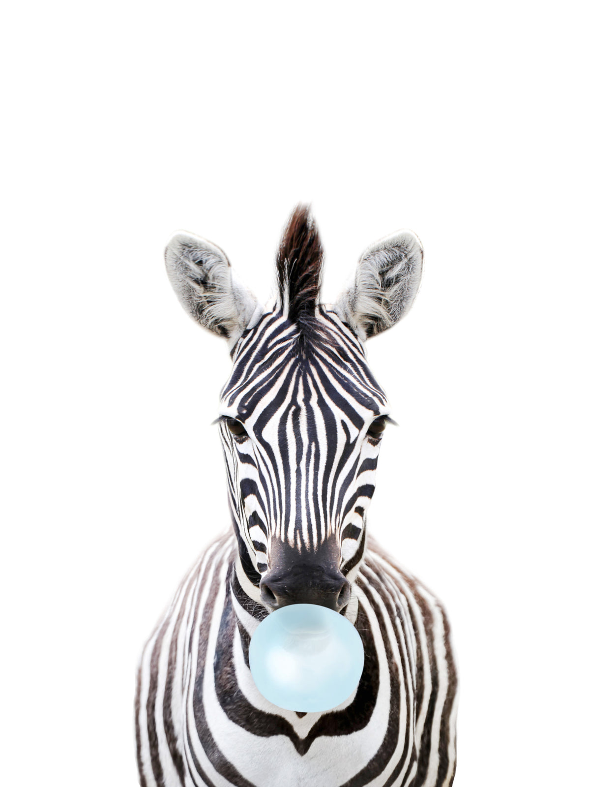 Bubble Gum Zebra Wall Mural in your room — zoomed