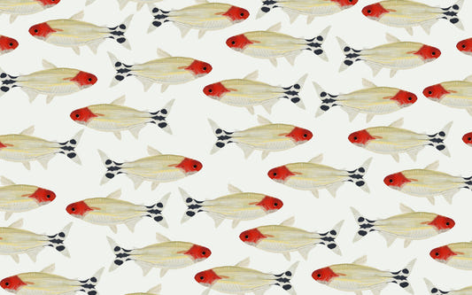 Asperum Wall Mural