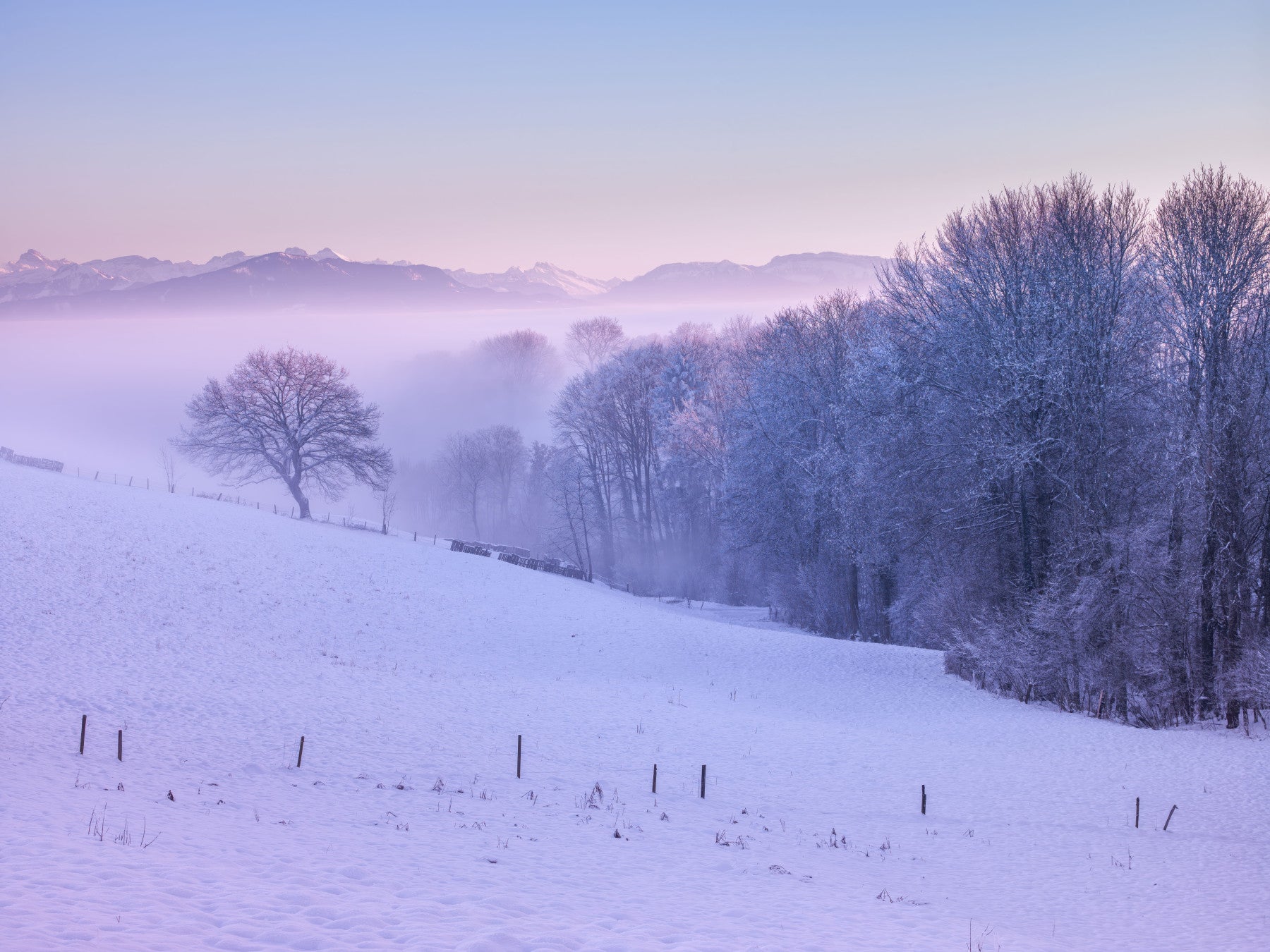 Winter Landscape Wall Mural