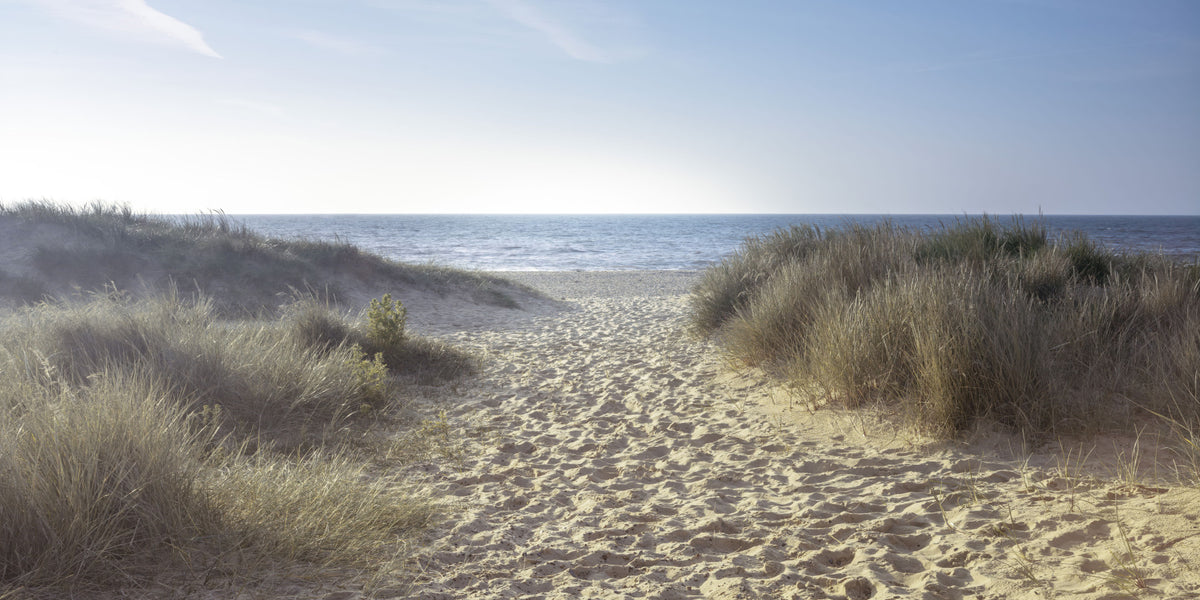 Coastal Path to Serenity Wall Mural